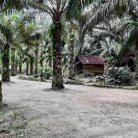 Sahom Valley Resort Jeram  Extérieur photo