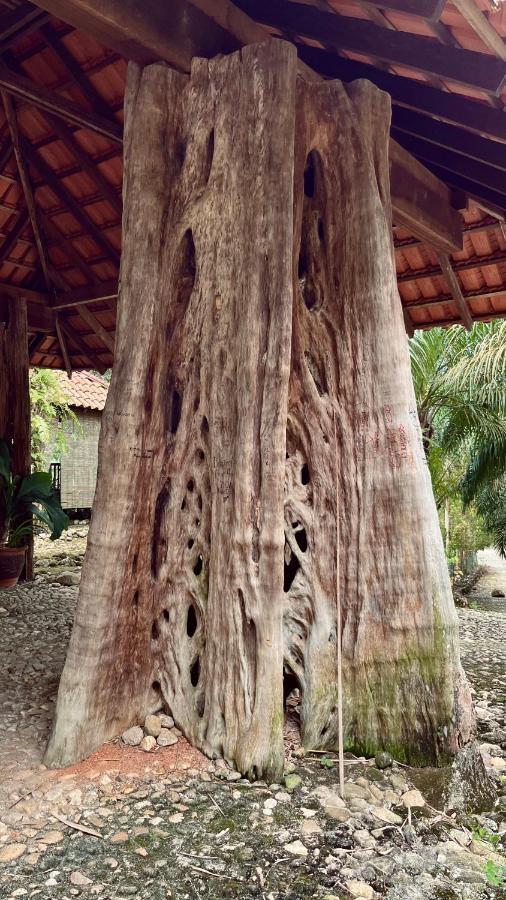 Sahom Valley Resort Jeram  Extérieur photo